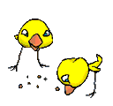 animashki-pticy-133